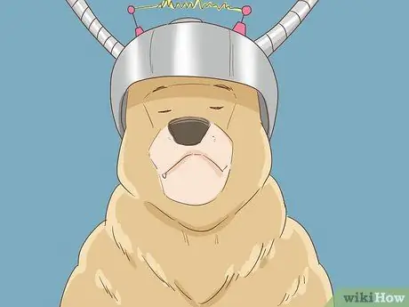 Создайте персонажа-животного для своей истории Шаг 10