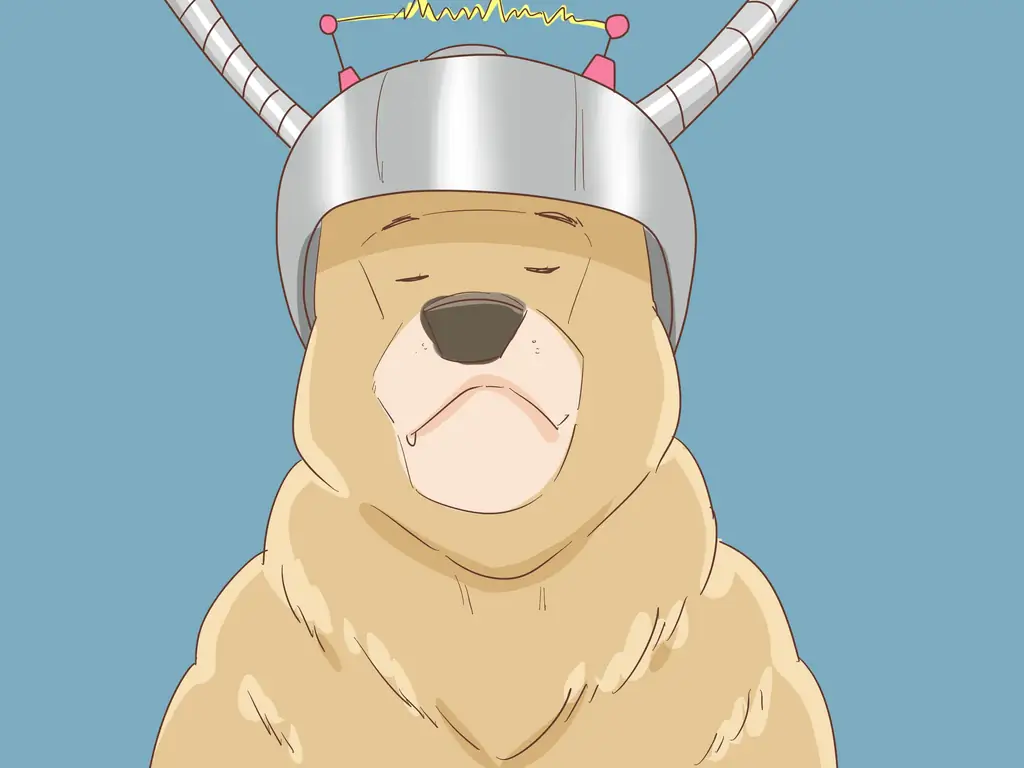 Как создать персонажа-животного для своей истории: 10 шагов