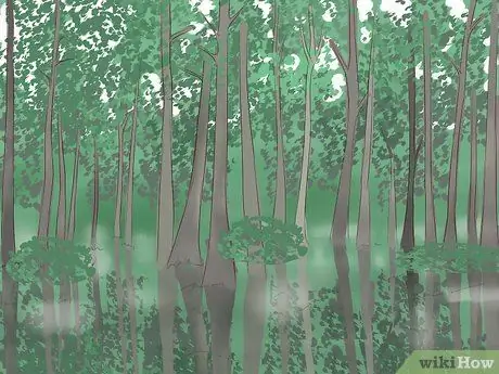 Прогулка по болоту Шаг 1