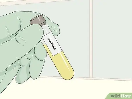 Файл для получения алиментов в Калифорнии, шаг 12