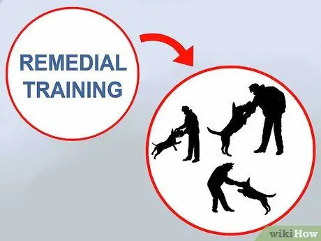 Избегайте вопросов ответственности в подразделениях полиции K9 Шаг 17