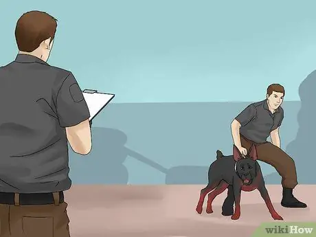 Избегайте вопросов ответственности в подразделениях полиции K9 Шаг 4