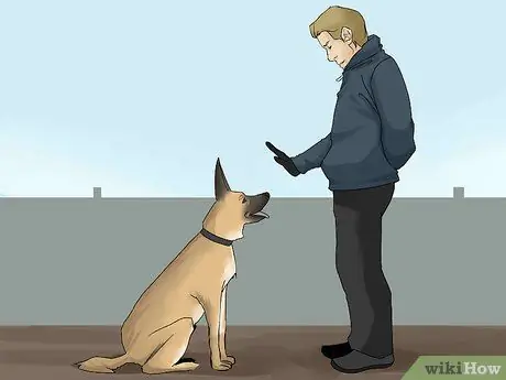 Избегайте вопросов ответственности в подразделениях полиции K9 Шаг 5