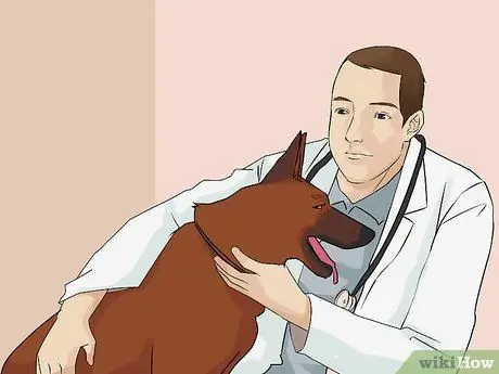 Избегайте вопросов ответственности в подразделениях полиции K9 Шаг 7