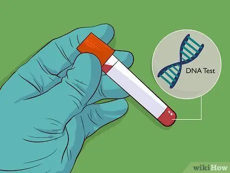 Сообщить о сексуальном насилии в США Шаг 3
