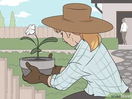 Договоритесь с арендодателем Шаг 5