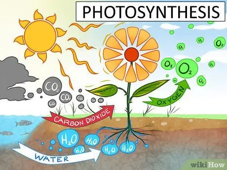 Изучение химического состава воды, шаг 1