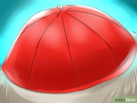 Стать кардиналом Шаг 14