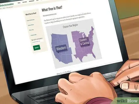 Определять деревья по листьям Шаг 10