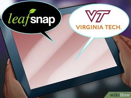 Определять деревья по листьям Шаг 11