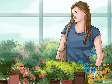 Определять деревья по листьям Шаг 12