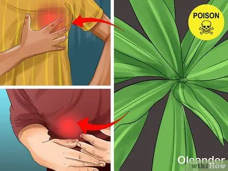 Определять деревья по листьям Шаг 14