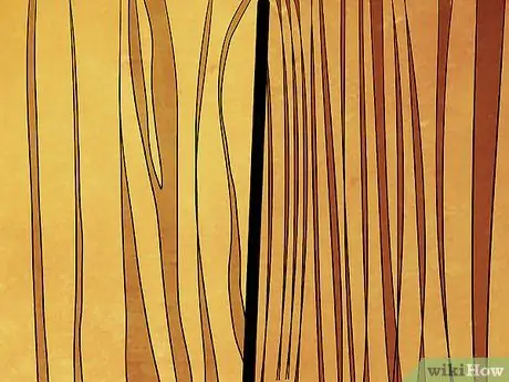 Расскажите о разнице между лоблолли и длиннолистной сосной Шаг 6