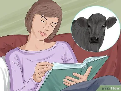 Определите валлийский черный рогатый скот Шаг 7