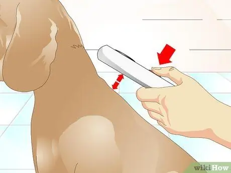 Как определить, есть ли у собаки микрочип Шаг 6