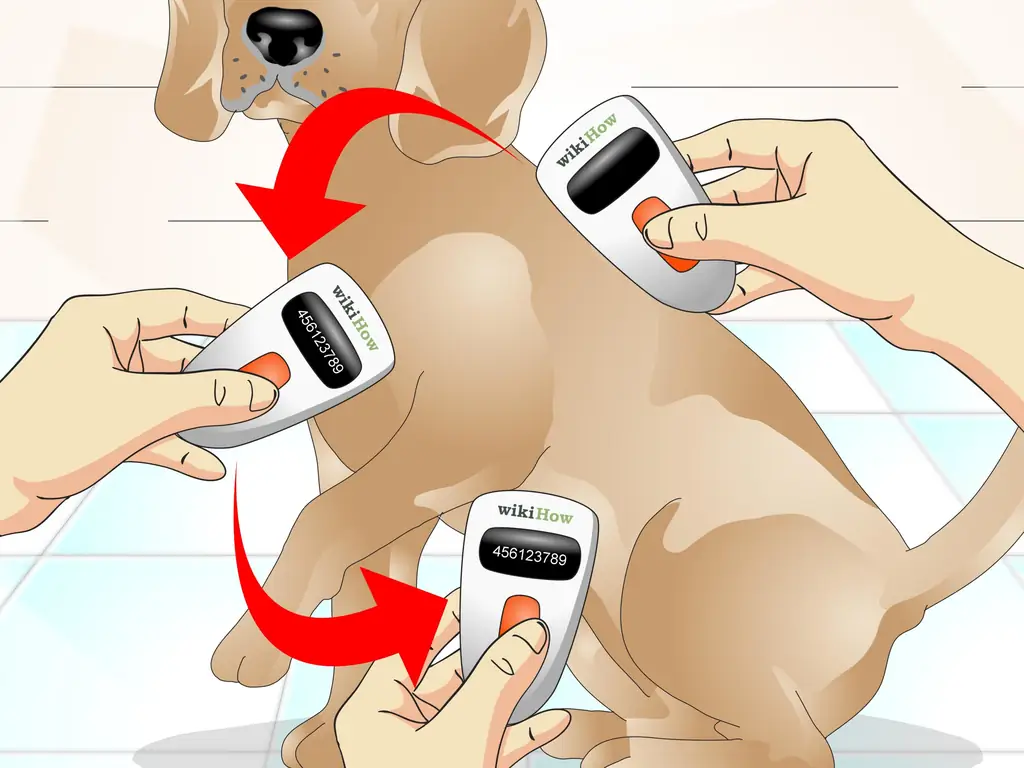 Как определить, есть ли у собаки микрочип: 7 шагов (с изображениями)