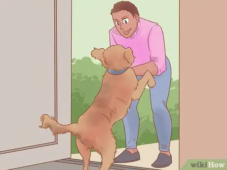 Узнайте, нравится ли вы вашей собаке Шаг 12