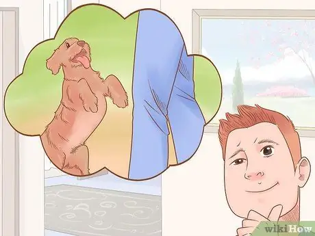 Узнайте, нравится ли вы вашей собаке, шаг 4