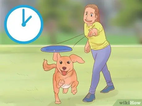 Узнайте, нравится ли вы вашей собаке Шаг 9