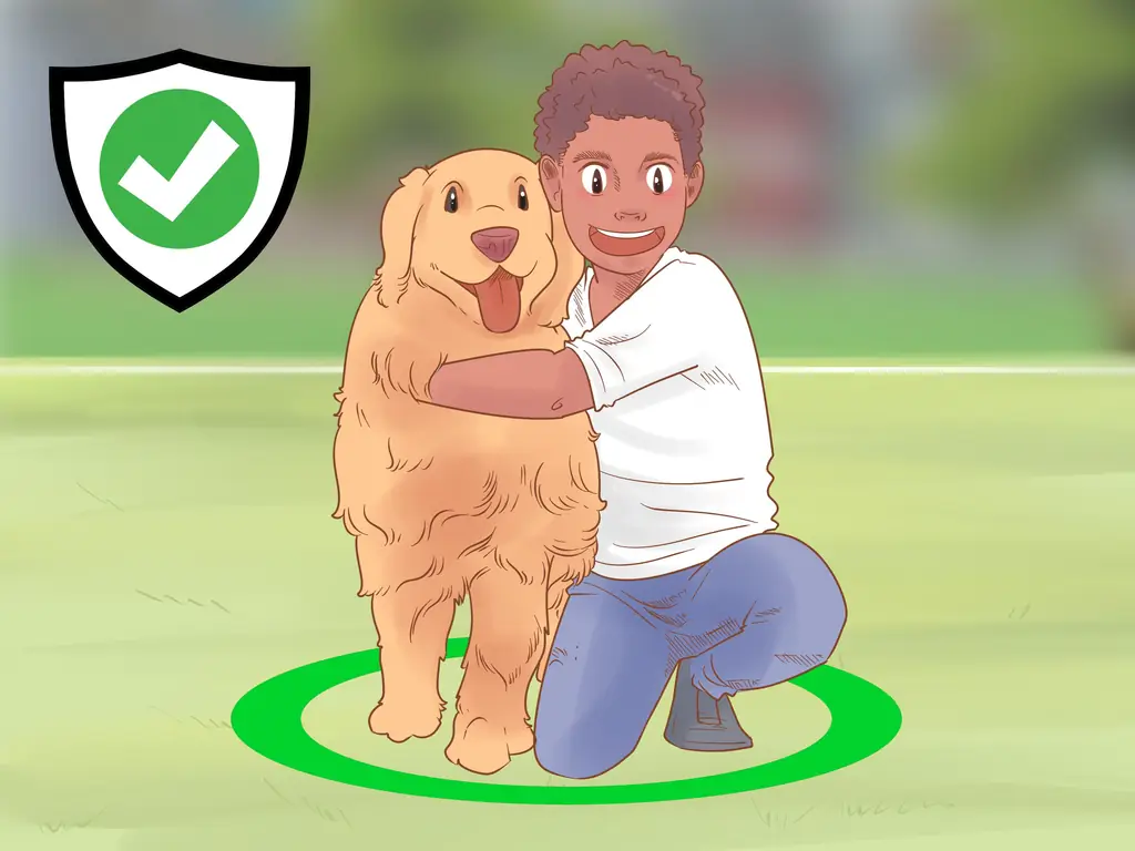 3 способа узнать, нравится ли вы вашей собаке больше всего