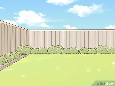 Организуйте собачью свадьбу Шаг 4