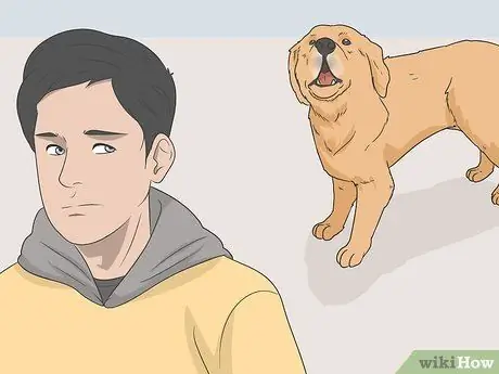 Держите собаку в квартире, не допускающей собак Шаг 2