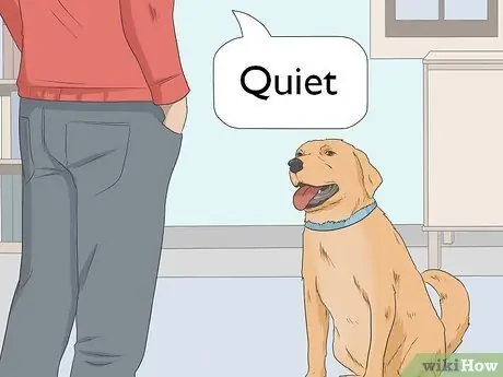 Держите собаку в квартире, не допускающей собак Шаг 4