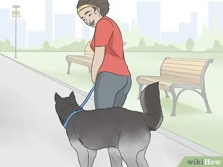 Держите собаку в квартире, не допускающей собак Шаг 5