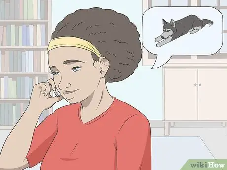 Держите собаку в квартире, не допускающей собак Шаг 6