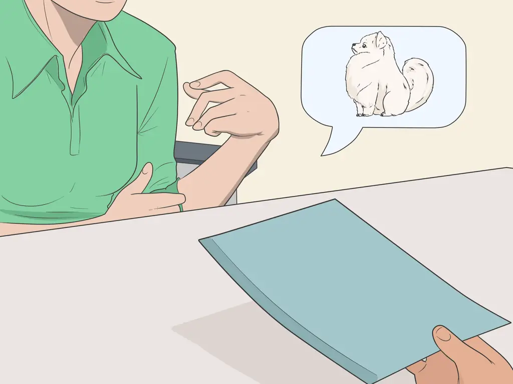 Как содержать собаку в квартире, не допускающей собак