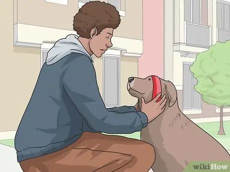 Выгуливать собаку Шаг 1