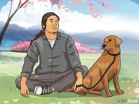 Выгуливать собаку Шаг 12