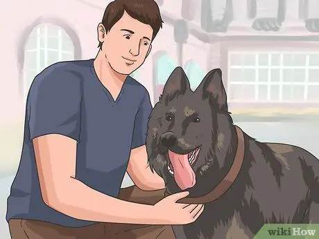 Выгуливать собаку Шаг 2