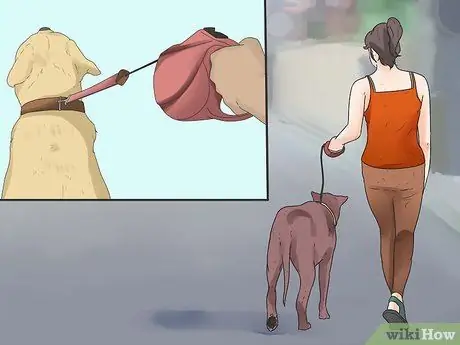 Выгуливать собаку Шаг 4