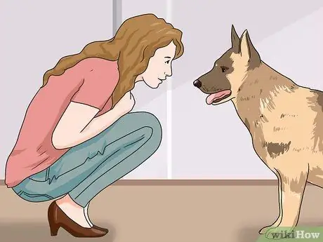 Выгуливать собаку Шаг 5