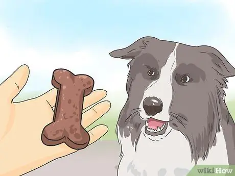 Выгуливать собаку Шаг 6