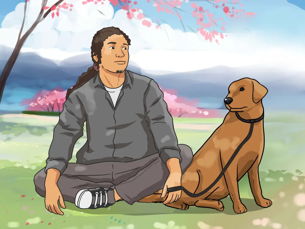 Как выгуливать собаку: 12 шагов (с иллюстрациями)