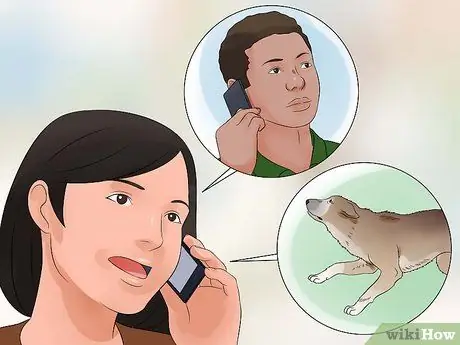 Подойти к застенчивой или пугливой собаке Шаг 12