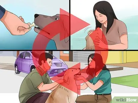 Подойти к застенчивой или пугливой собаке Шаг 17