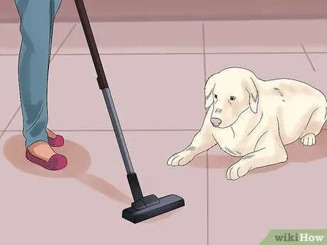 Подойти к застенчивой или пугливой собаке Шаг 6