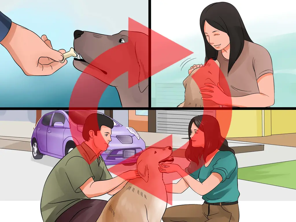 Как подойти к робкой или пугливой собаке (с картинками)