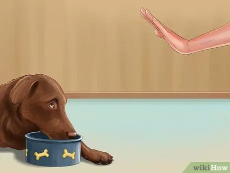 Проверка отзыва кормов для домашних животных, шаг 7