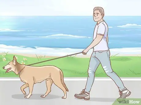 Уменьшение опухолей у собак Шаг 5