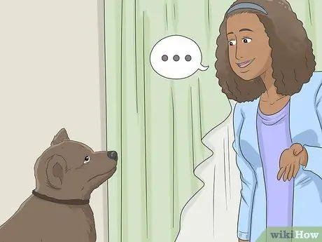 Приучите собаку к дому, шаг 11