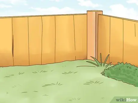 Приучите собаку к дому, шаг 4