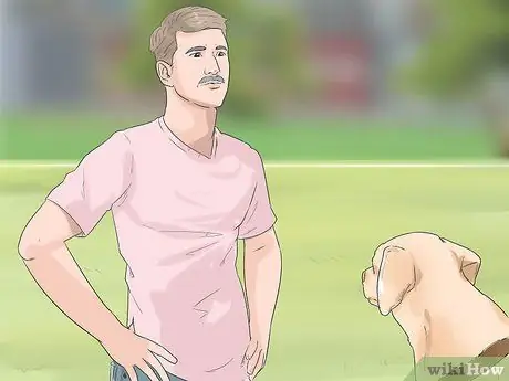 Пожарная дрель приучите собаку Шаг 8