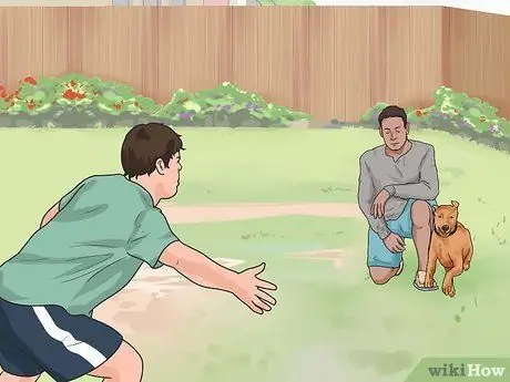 Дрессировка собаки шаг 11