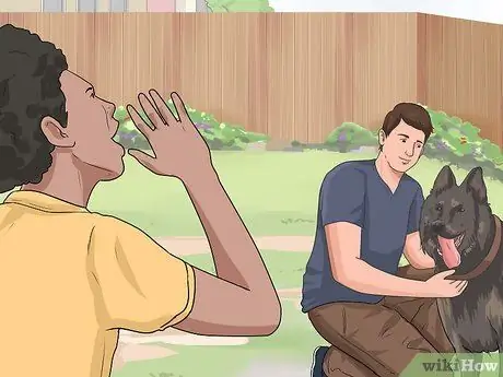 Дрессировка собаки шаг 12