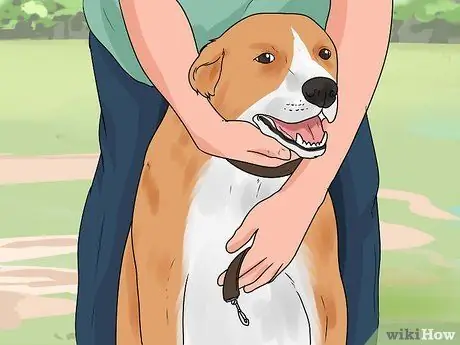 Приучите собаку приходить, шаг 2