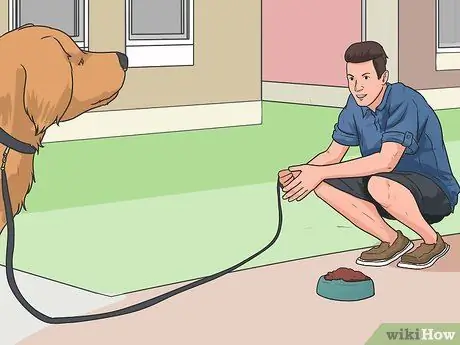 Дрессировка собаки шаг 7